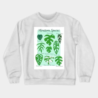 Monstera Species in Gouache- Mint Crewneck Sweatshirt